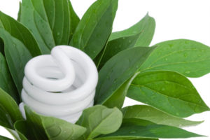 Energy Efficient Landscaping Shutterstock 14158354 (3)