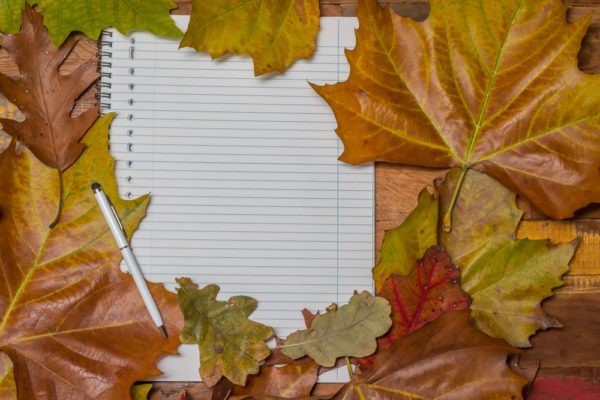 4 Steps to Prep Your HVAC System for Fall